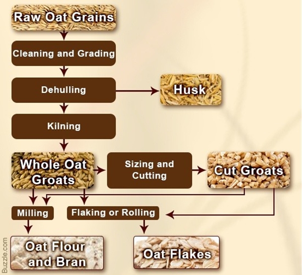 learn-all-about-oatmeal-raw-materials-manufacturing-and-benefits