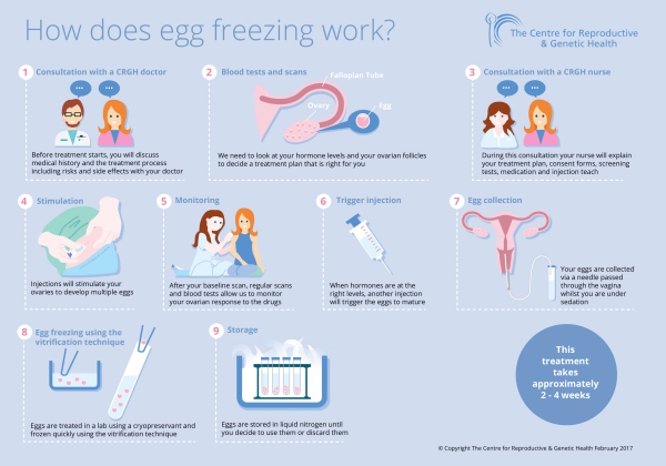 Egg-Freezing-A-Growing-Trend-Among-Young-Female-Professionals